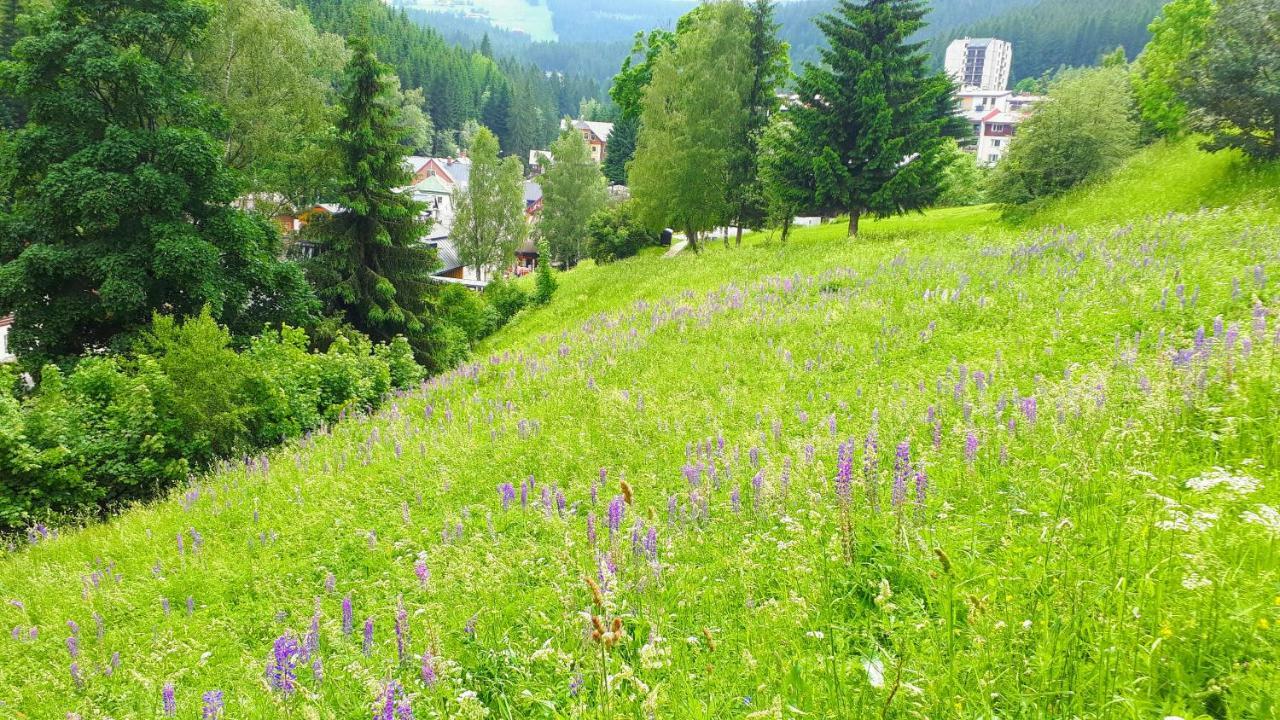 Apartman Liska V Peci - Apartmanovy Dum Horalka, ペツ・ポト・スニェシュコウ エクステリア 写真