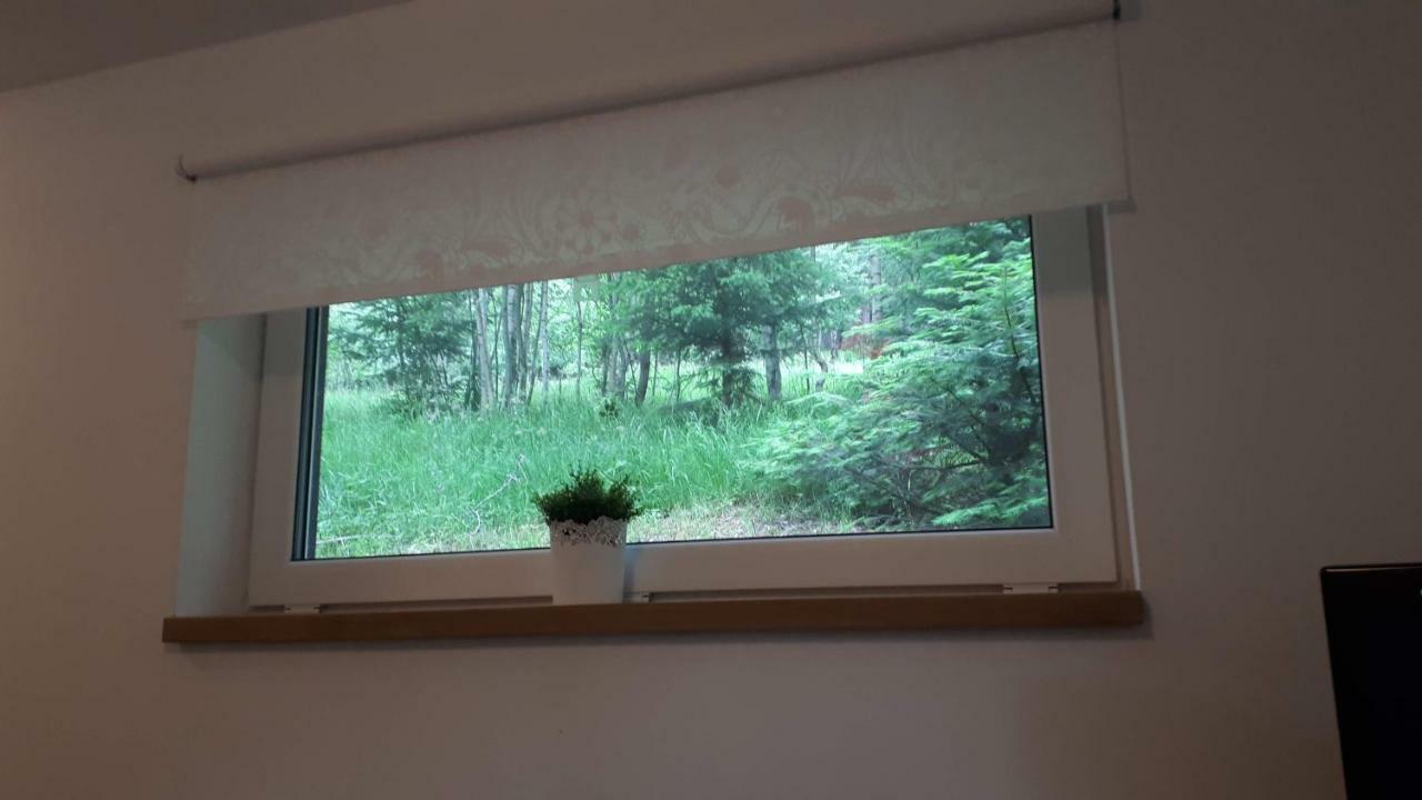 Apartman Liska V Peci - Apartmanovy Dum Horalka, ペツ・ポト・スニェシュコウ エクステリア 写真